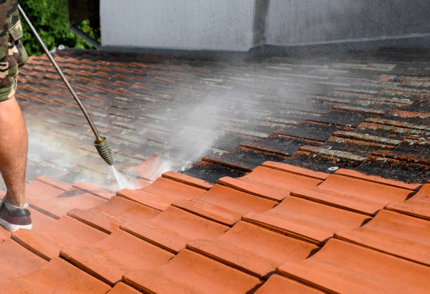 Best Pressure Washing Company Near Me  in Dinuba, CA