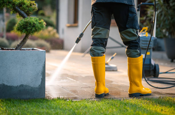 Best Power Washing Near Me  in Dinuba, CA